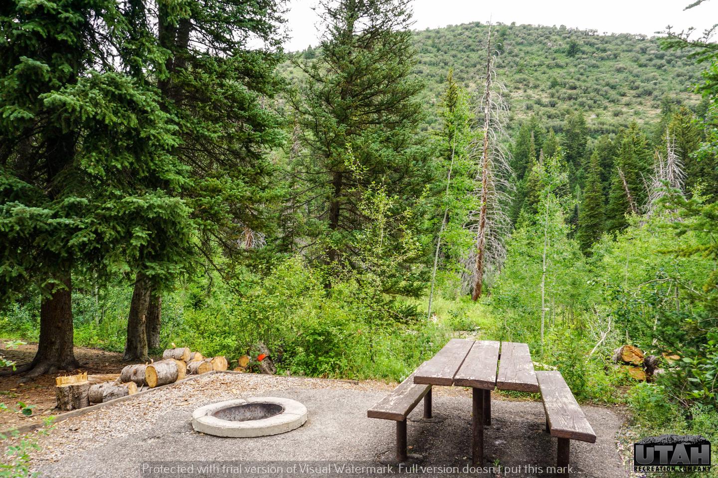 Site 043, Spruces - Big Cottonwood - Recreation.gov