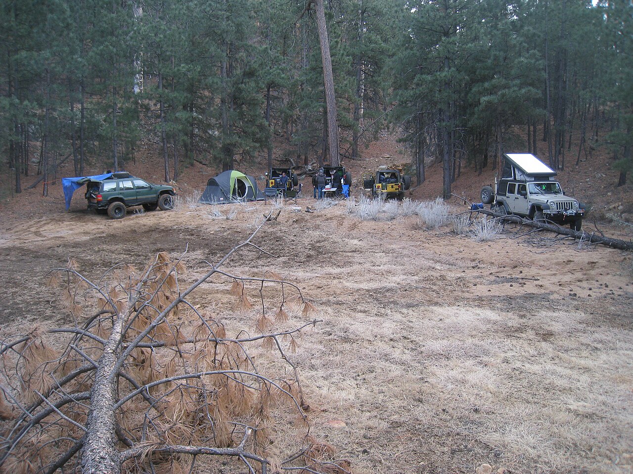 Grant, Mike, Patrick, Audel, and Jeeps in camp in Timber Wash.