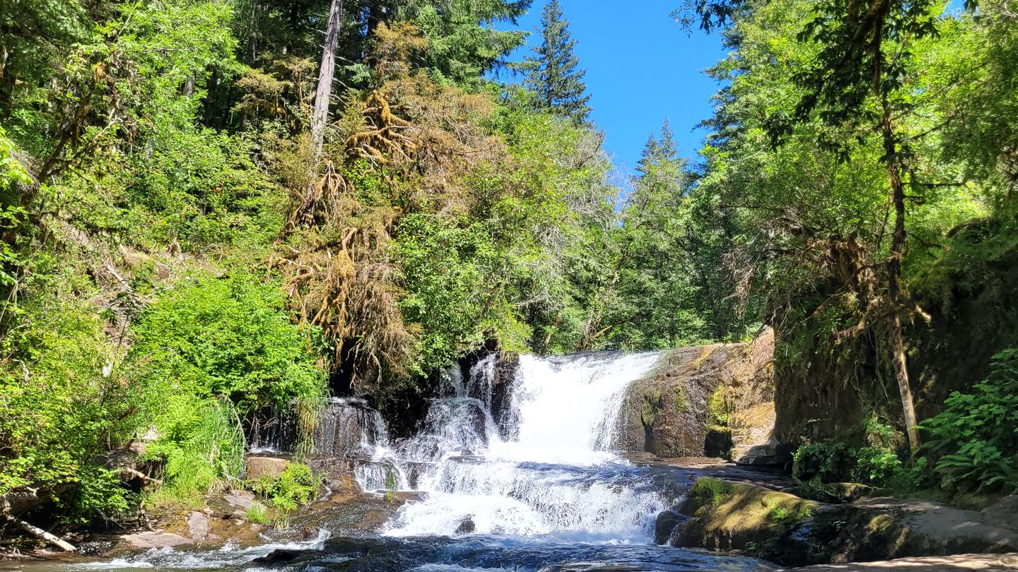 Alsea Falls Recreation Site (Campground) | Camp Observer