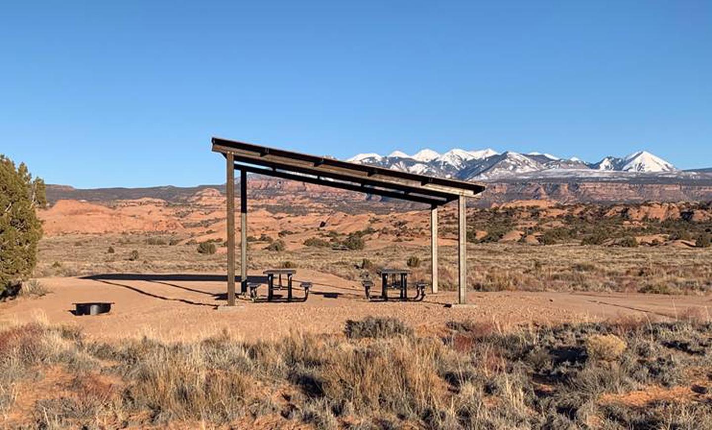 Site Group Site Datura D, Sand Flats Recreation Area Group Campsites ...