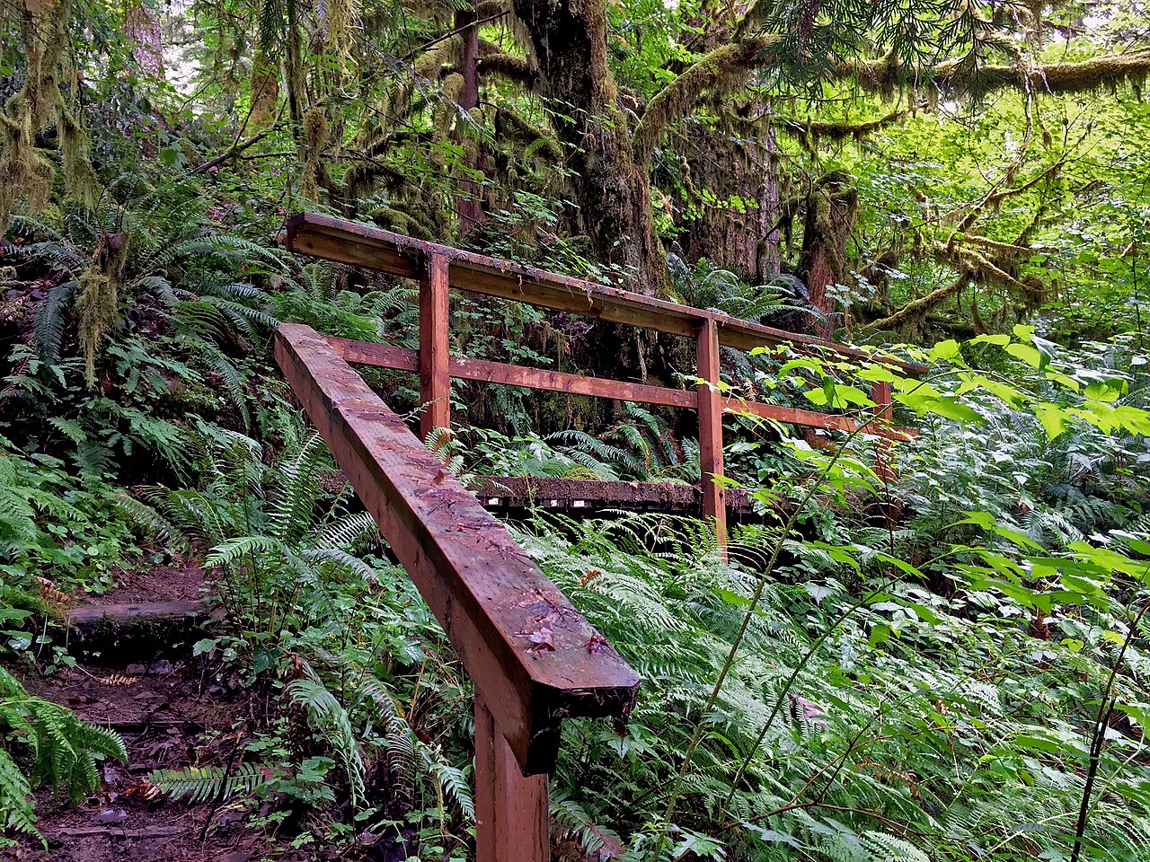 Elkhorn Valley Recreation Site, part of the larger Little North Fork Recreation Area, is located in Marion County roughly 32 miles east of Salem near Mehama, Oregon - just off the North Fork Road on the banks of the Little North Fork of the Santiam River