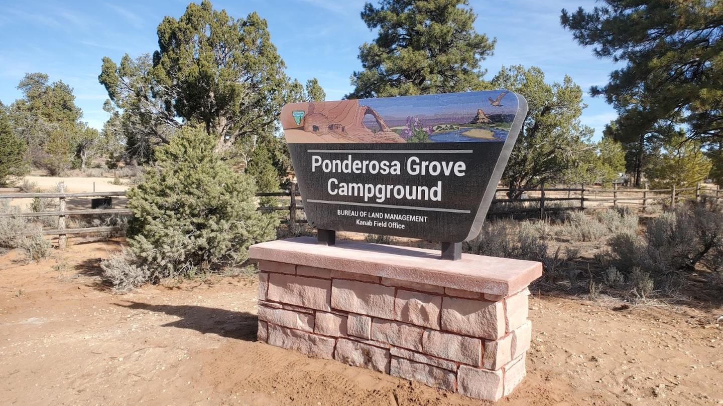 Ponderosa Grove Campground - | Bureau of Land Management