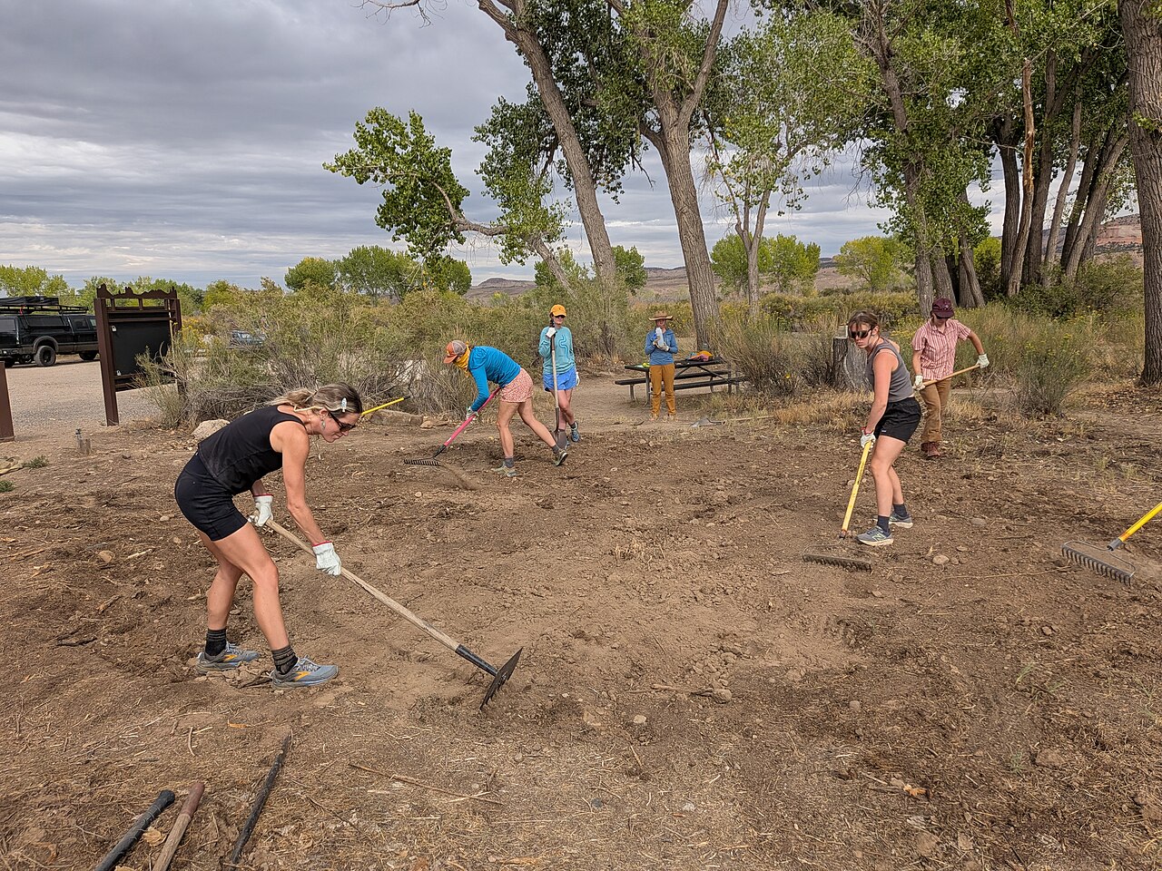 NPLD 25 25 WW rehabbing at picnic area