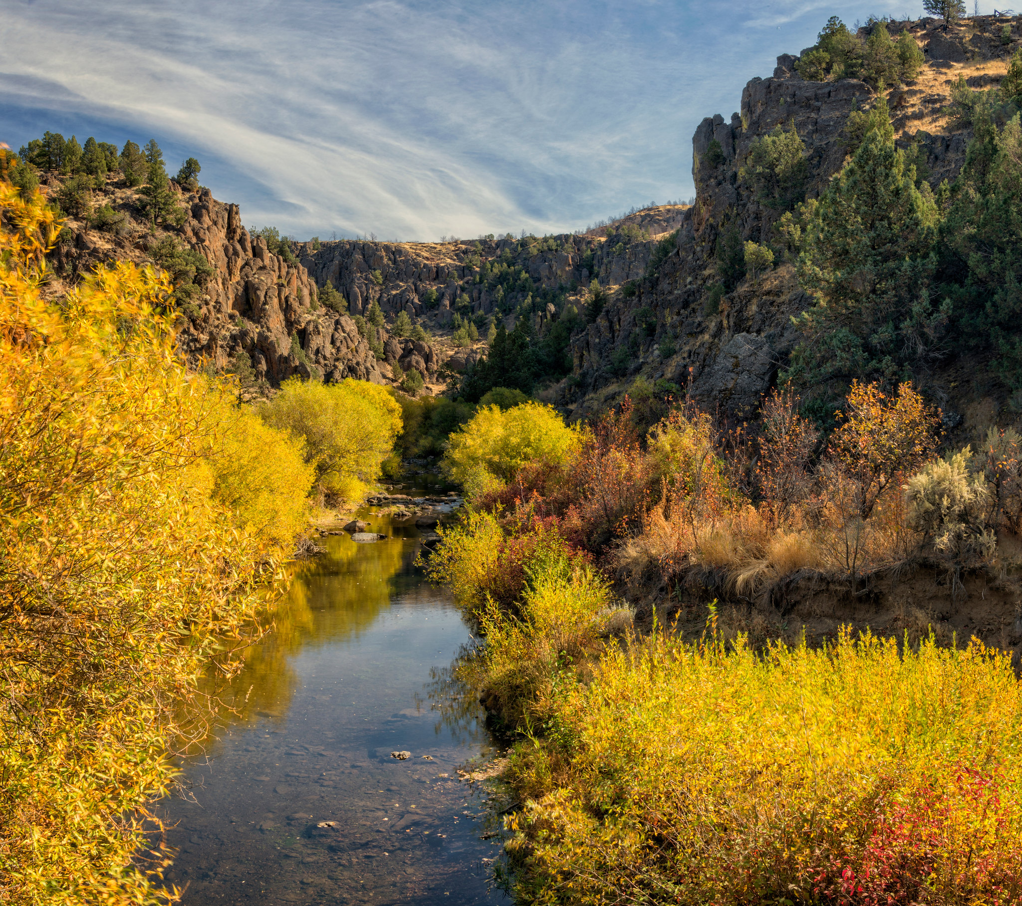 North Fork Campground - Idaho | Bureau of Land Management