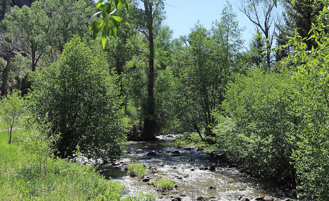 Sheephorn Creek at Mugrage Campground near Radium, Colorado.