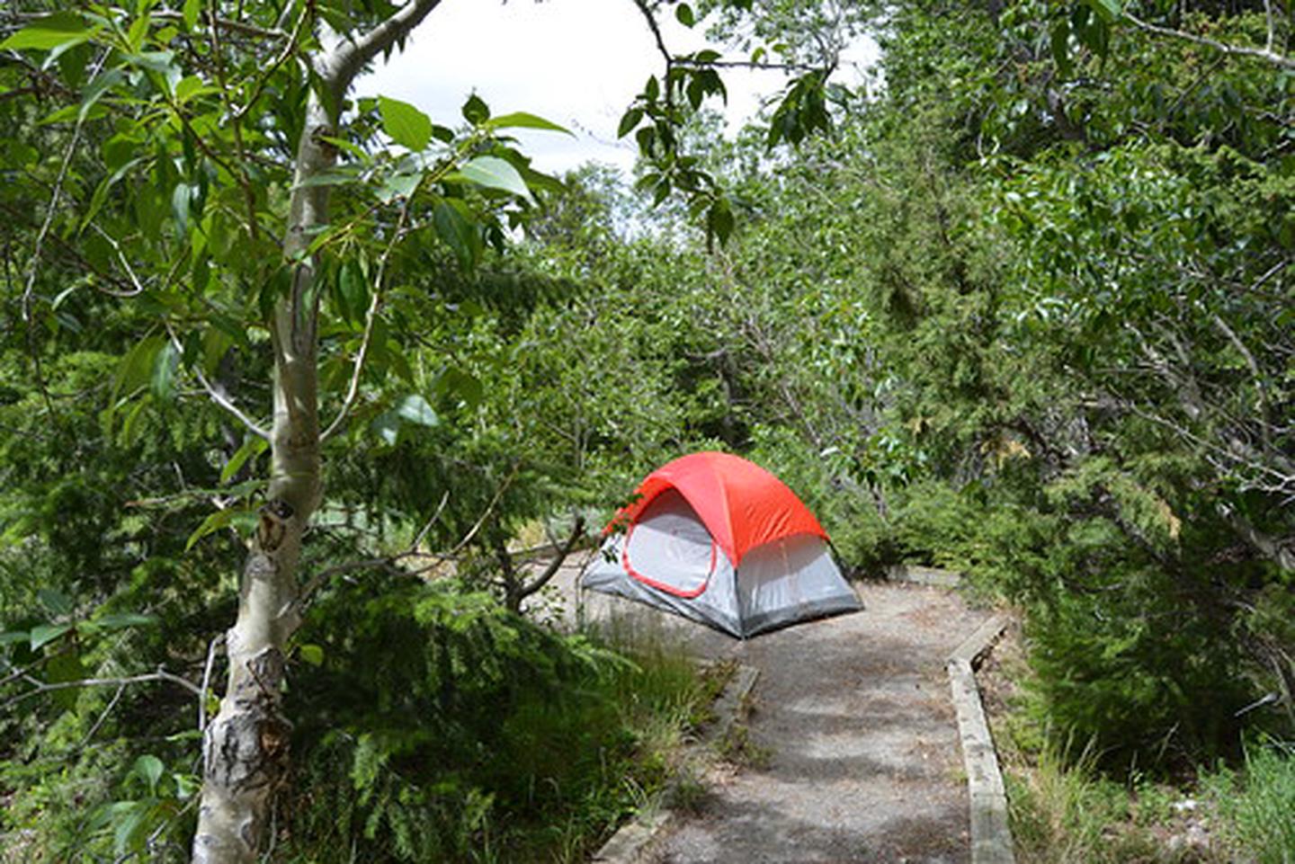Five Springs Falls Campground - Wyoming | Bureau of Land Management