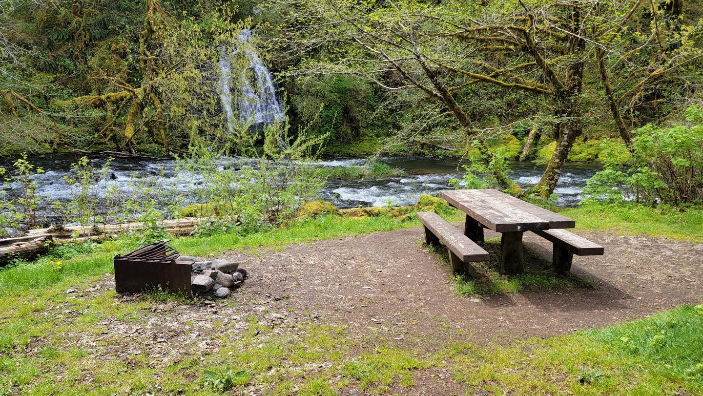 Site 09, Alder Glen Recreation Site - Recreation.gov