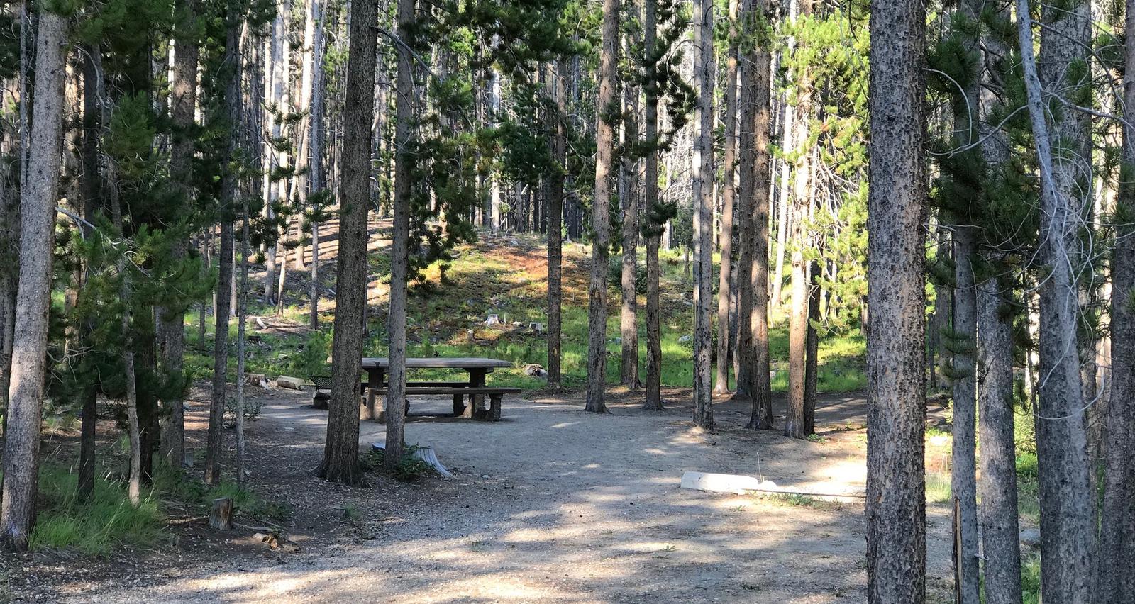 Spring Hill Campground, Beaverhead-Deerlodge National Forest ...