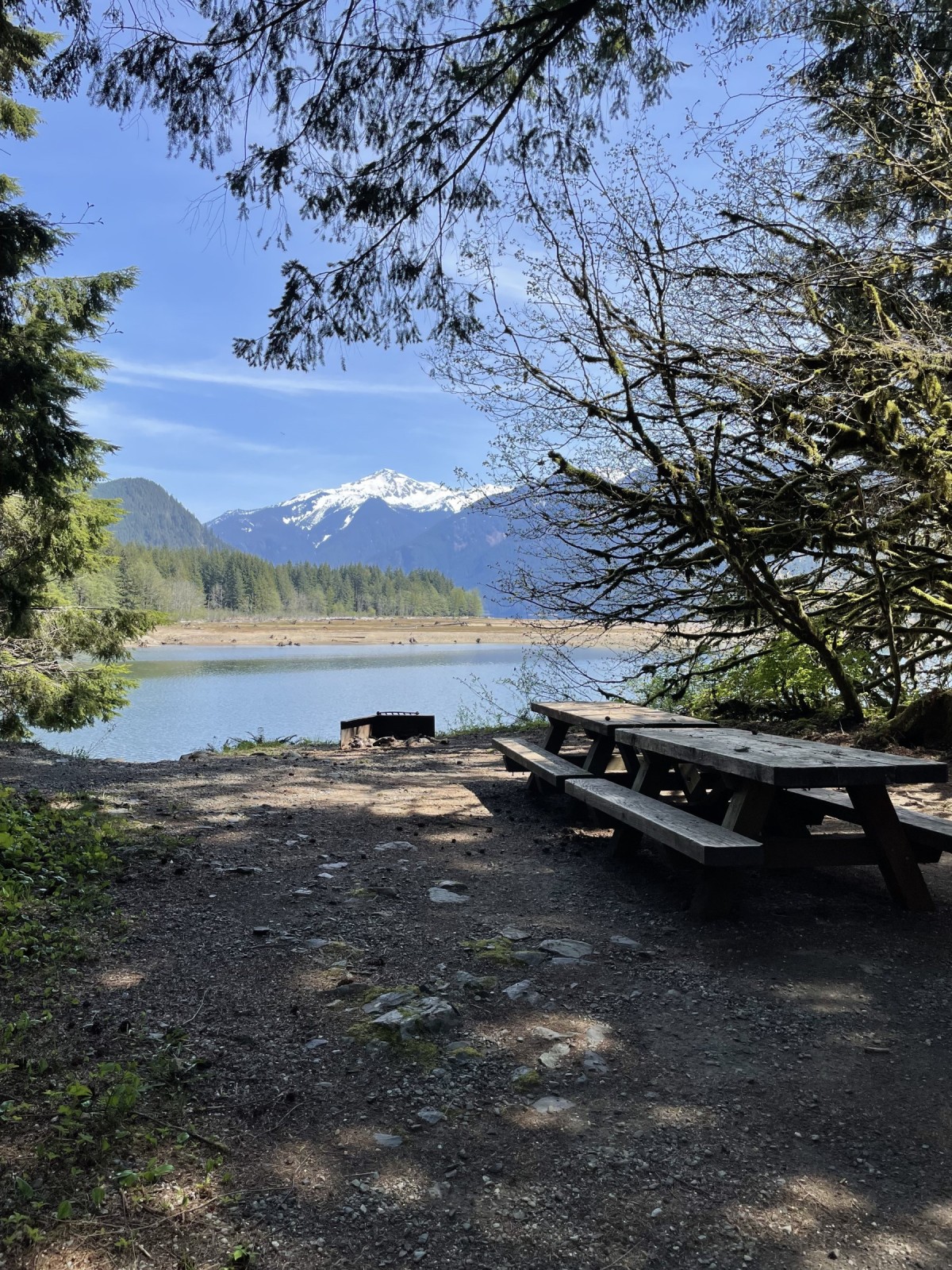 Mount Baker-Snoqualmie National Forest | Panorama Point Campground ...