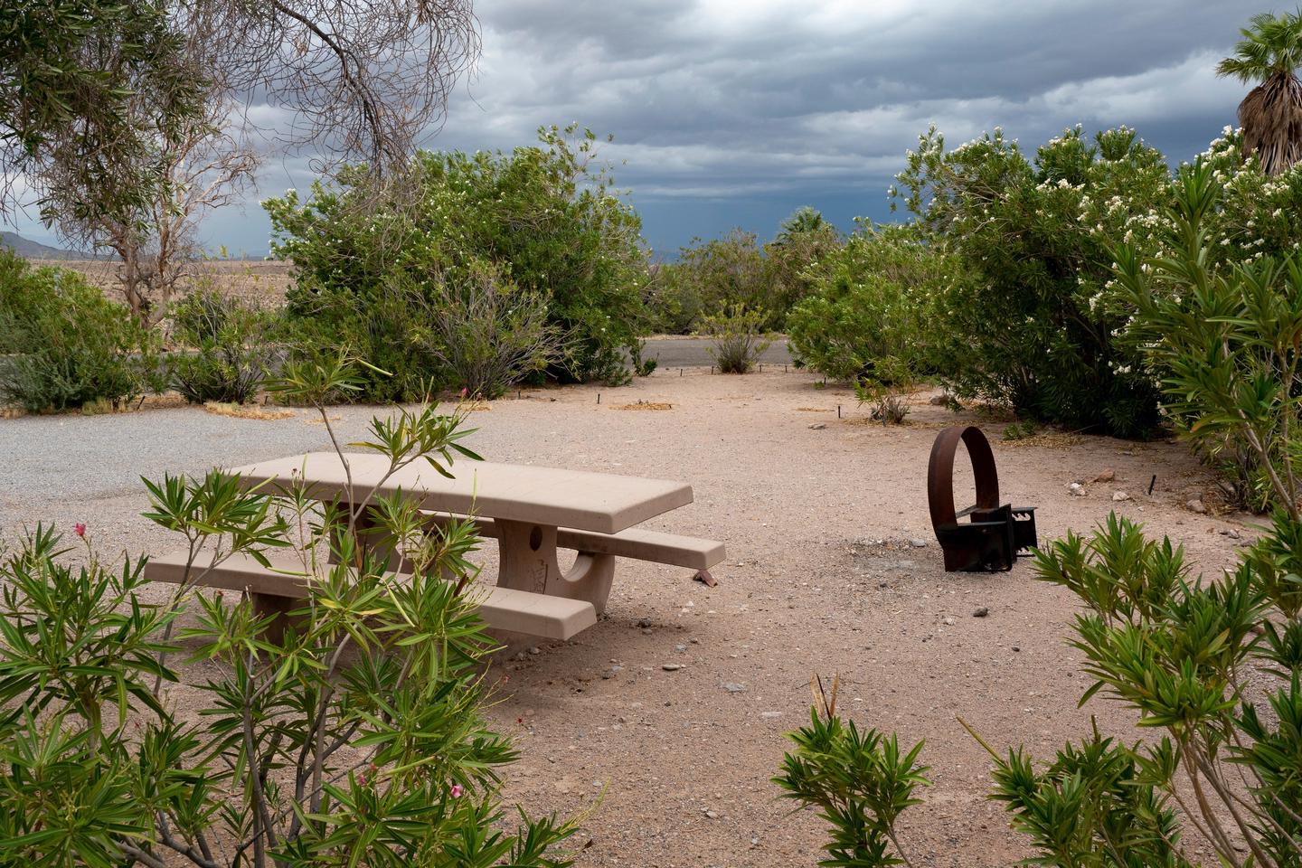 Echo Bay Campground, Lake Mead National Recreation Area - Recreation.gov