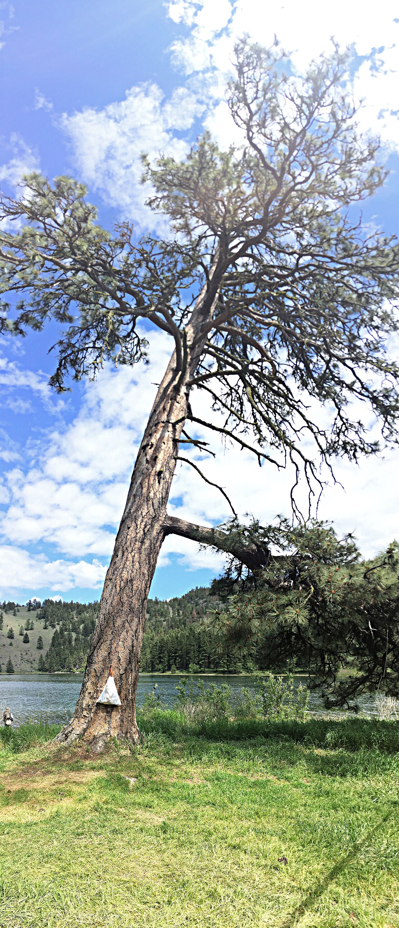 Hidden deep within the highlands of northern Okanogan County, visitors will discover a jewel of a mountain lake.  Aspen tree groves and sagebrush line the shores, providing a scenic backdrop to many lakeside activities. Mountain goats are often seen high