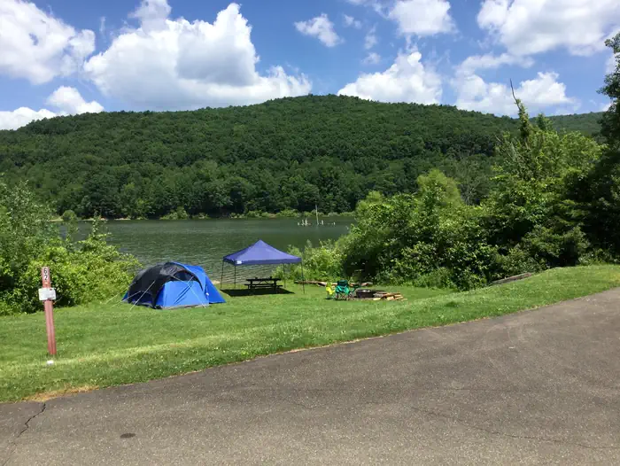 Summer at Willow Bay