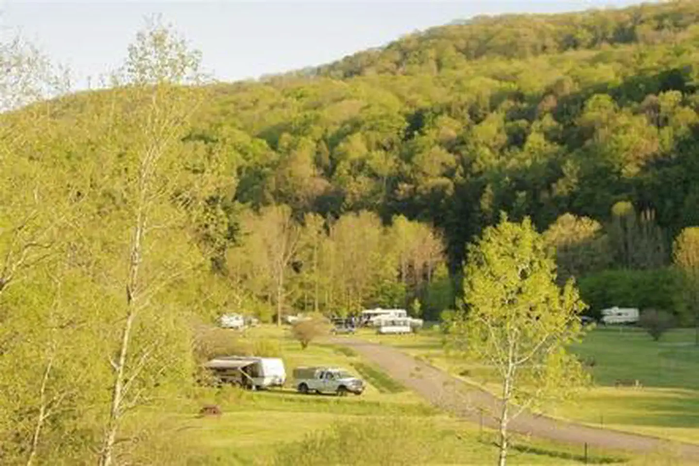Summer at Willow Bay