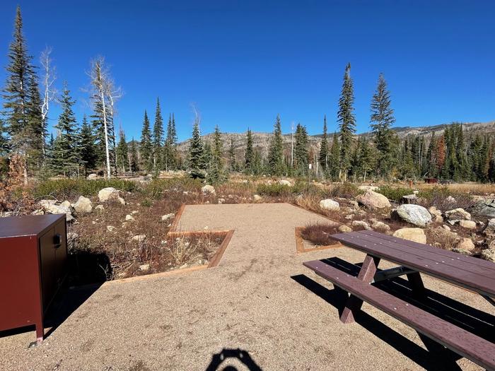 Site 5