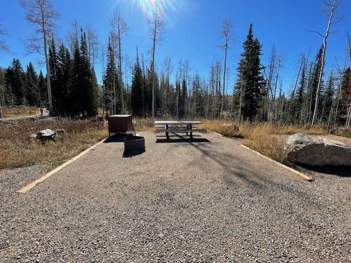 Dry lake campground site 8 table fire pit and trees