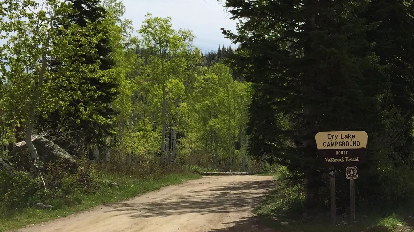 Road into Dry Lake Campground with sign and trees
