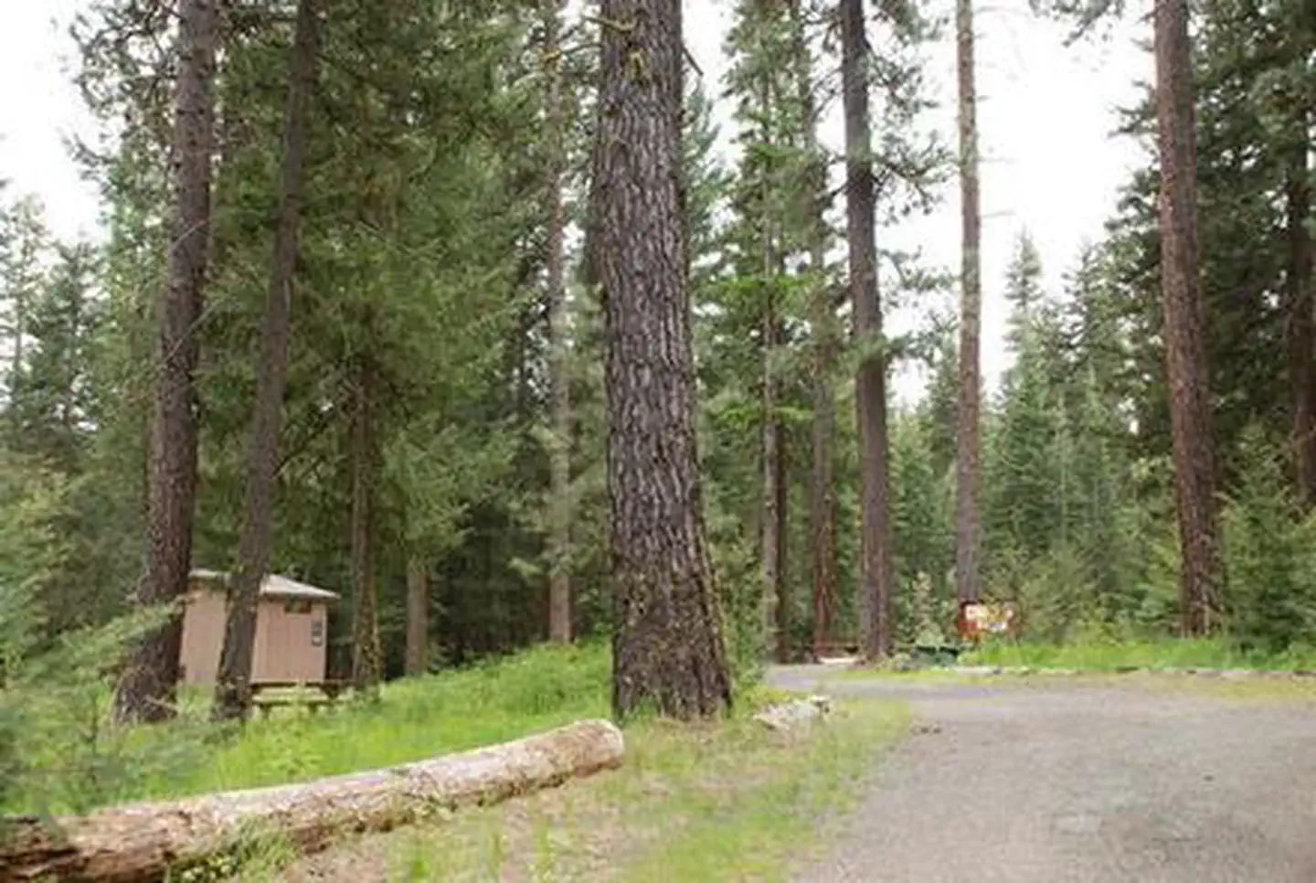 MINERAL SPRINGS GROUP