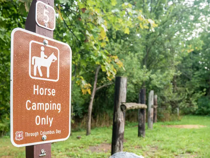 Backbone Horse Campground Site 5
