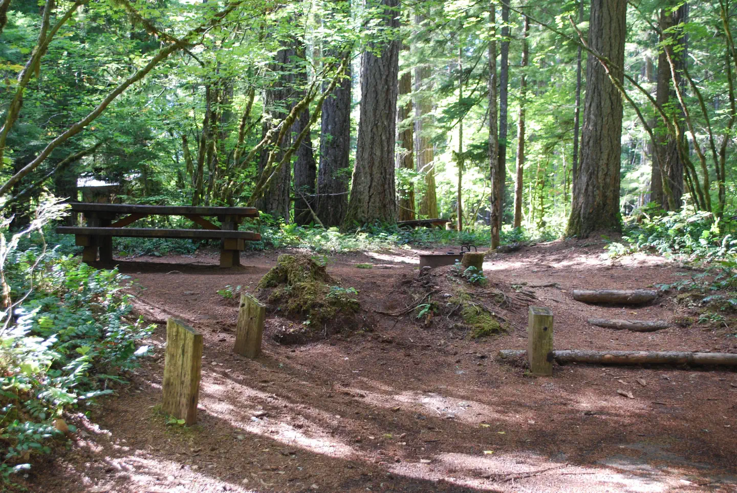Moss Creek Campsite