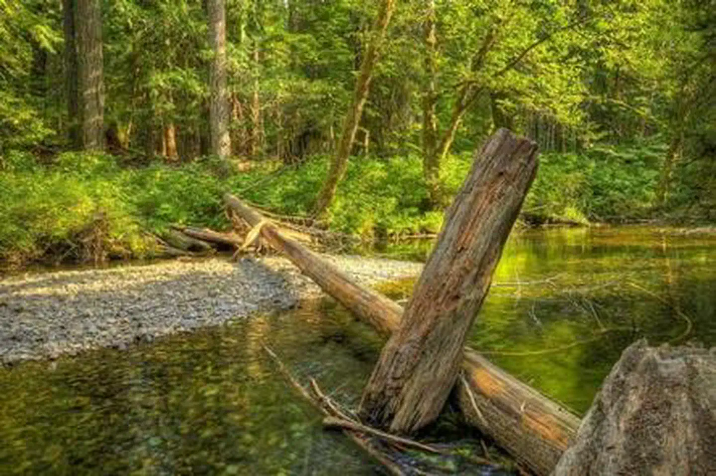 Moss Creek campground
