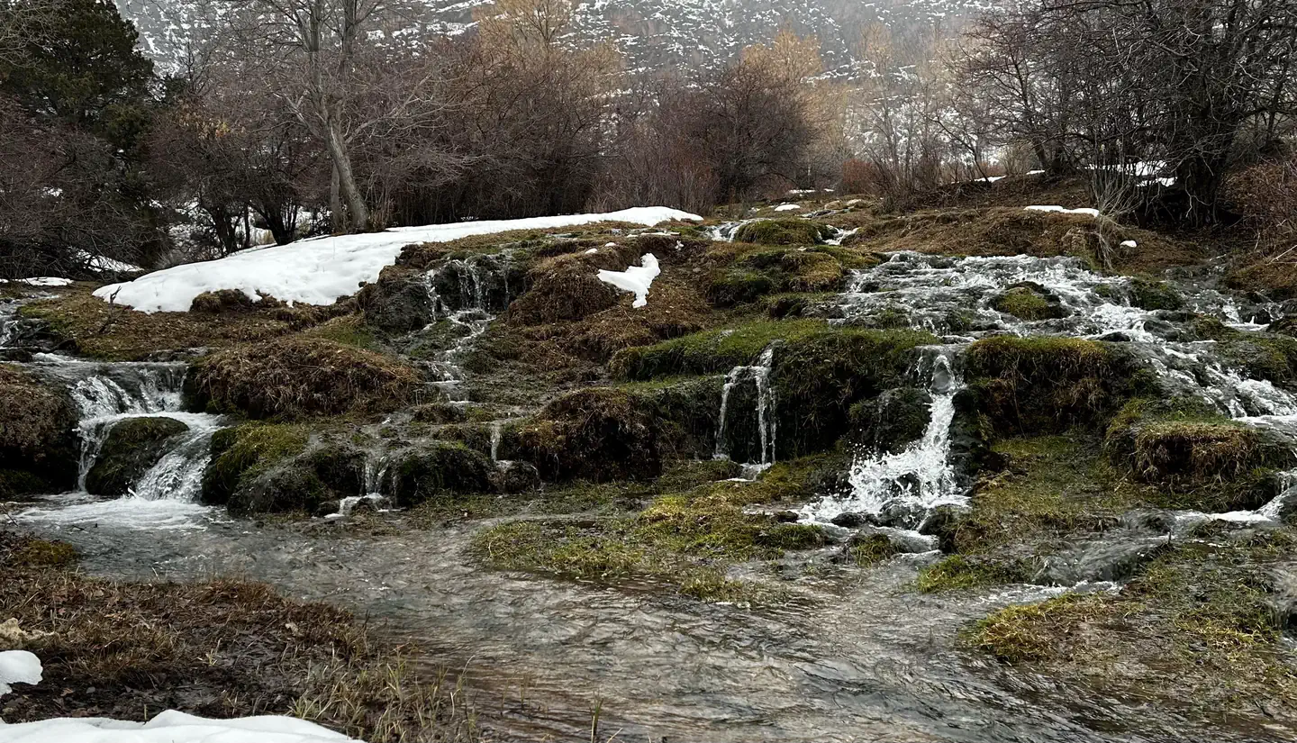 Ivy Creek