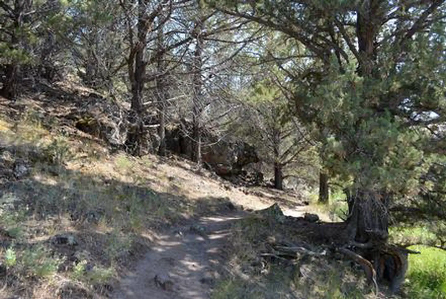 Page Springs Campground