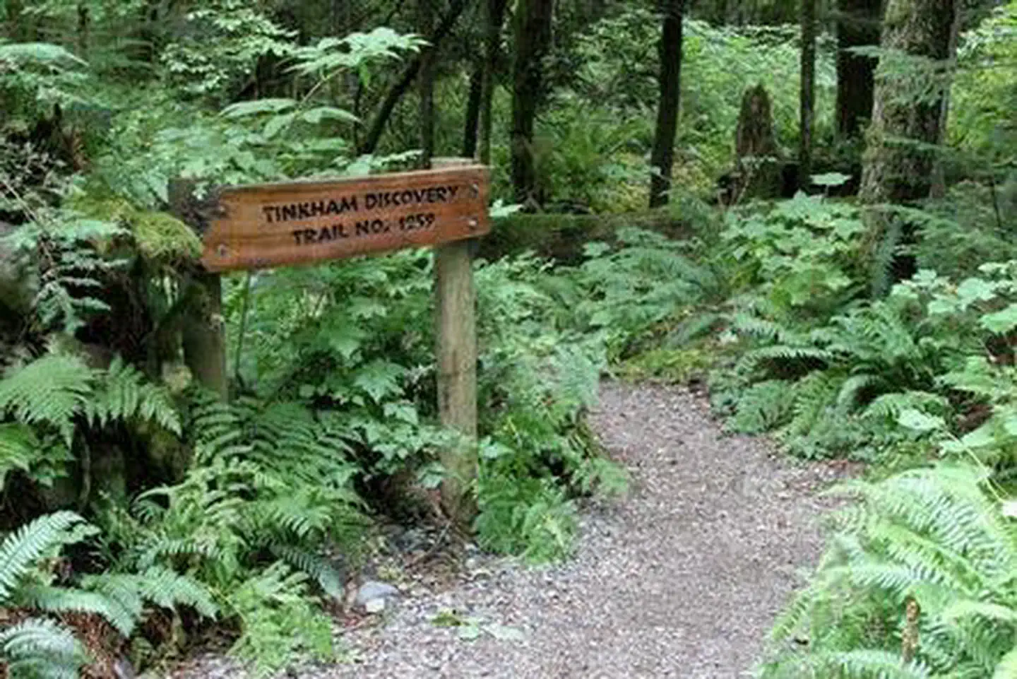 Tinkham Campground