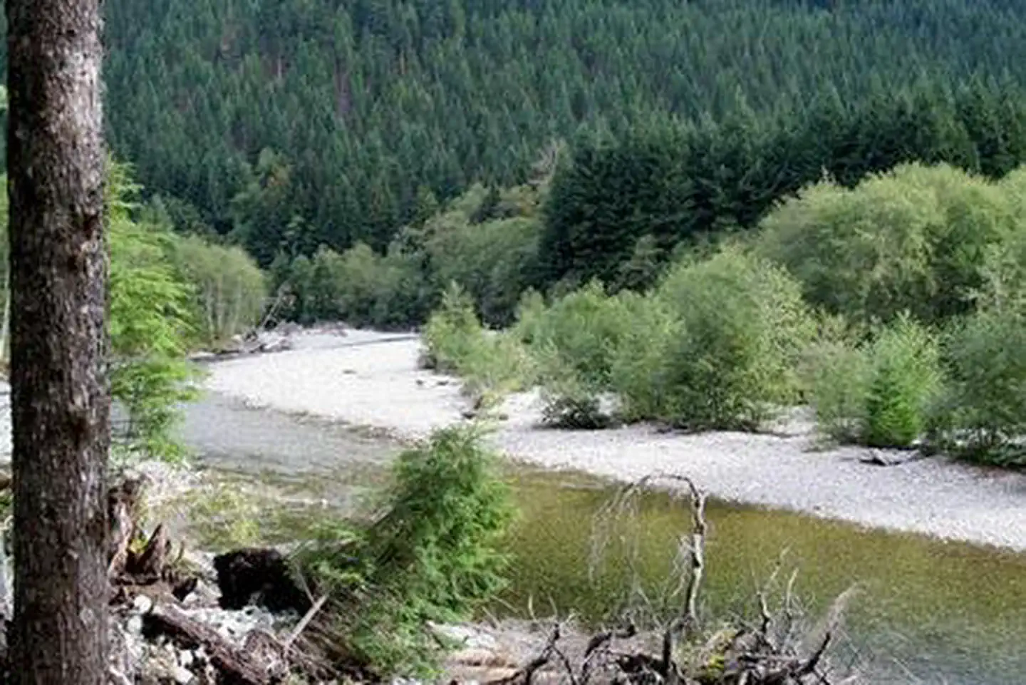 Tinkham Campground