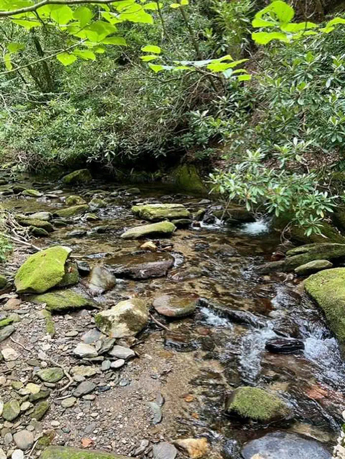 Basin Cove Creek