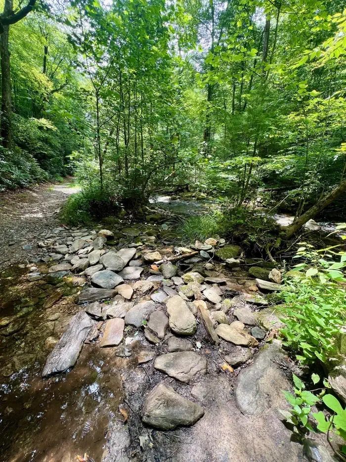 Prepare to get your feet wet.