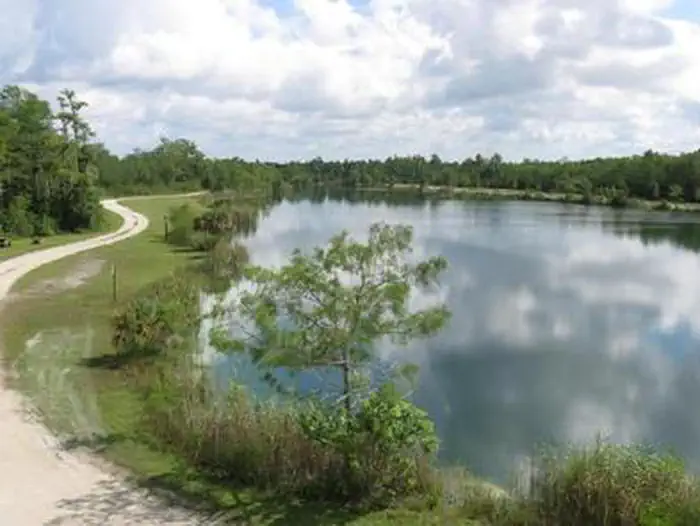Campground Lake View