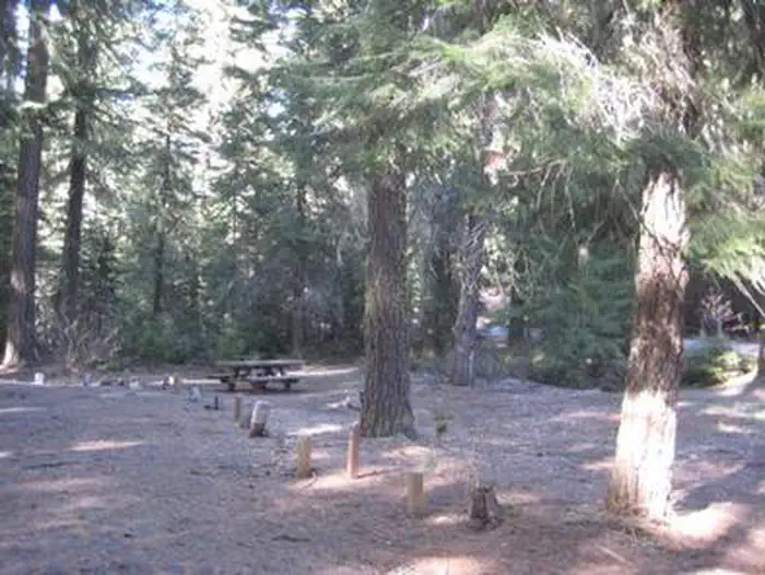 NORTH FORK CAMPGROUND (OR)