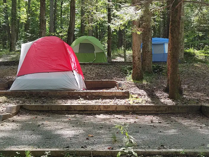 Group Camp