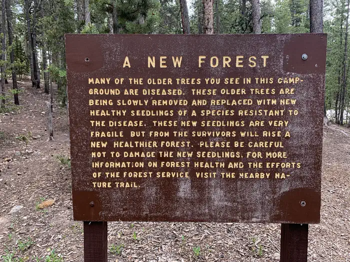 Molly Brown Campground
