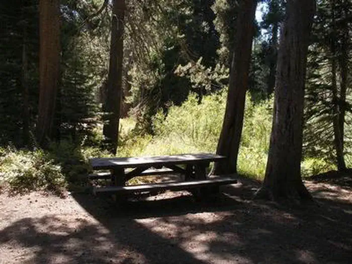 AGNEW HORSE CAMP