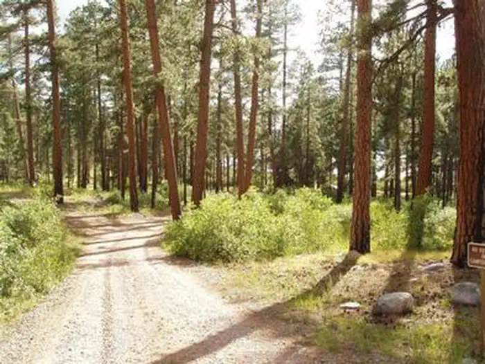 GRAHAM CREEK CAMPGROUND