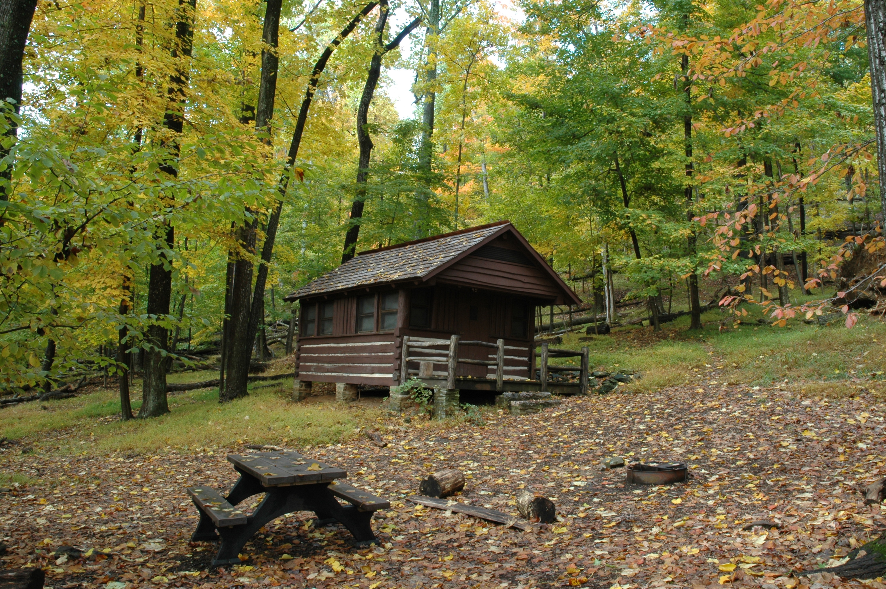 Three-sided wooden shelter