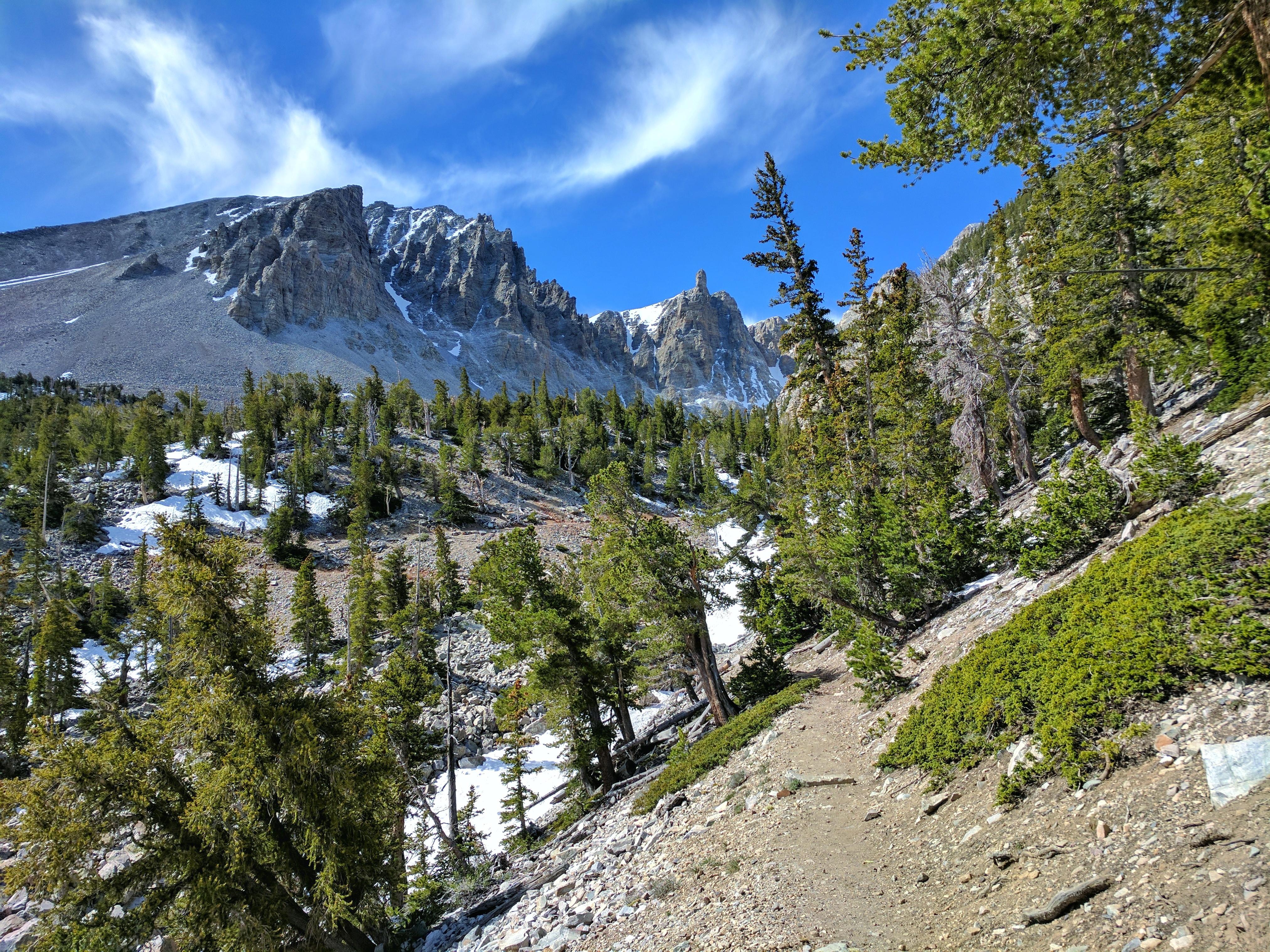 Camping scenery for Nevada