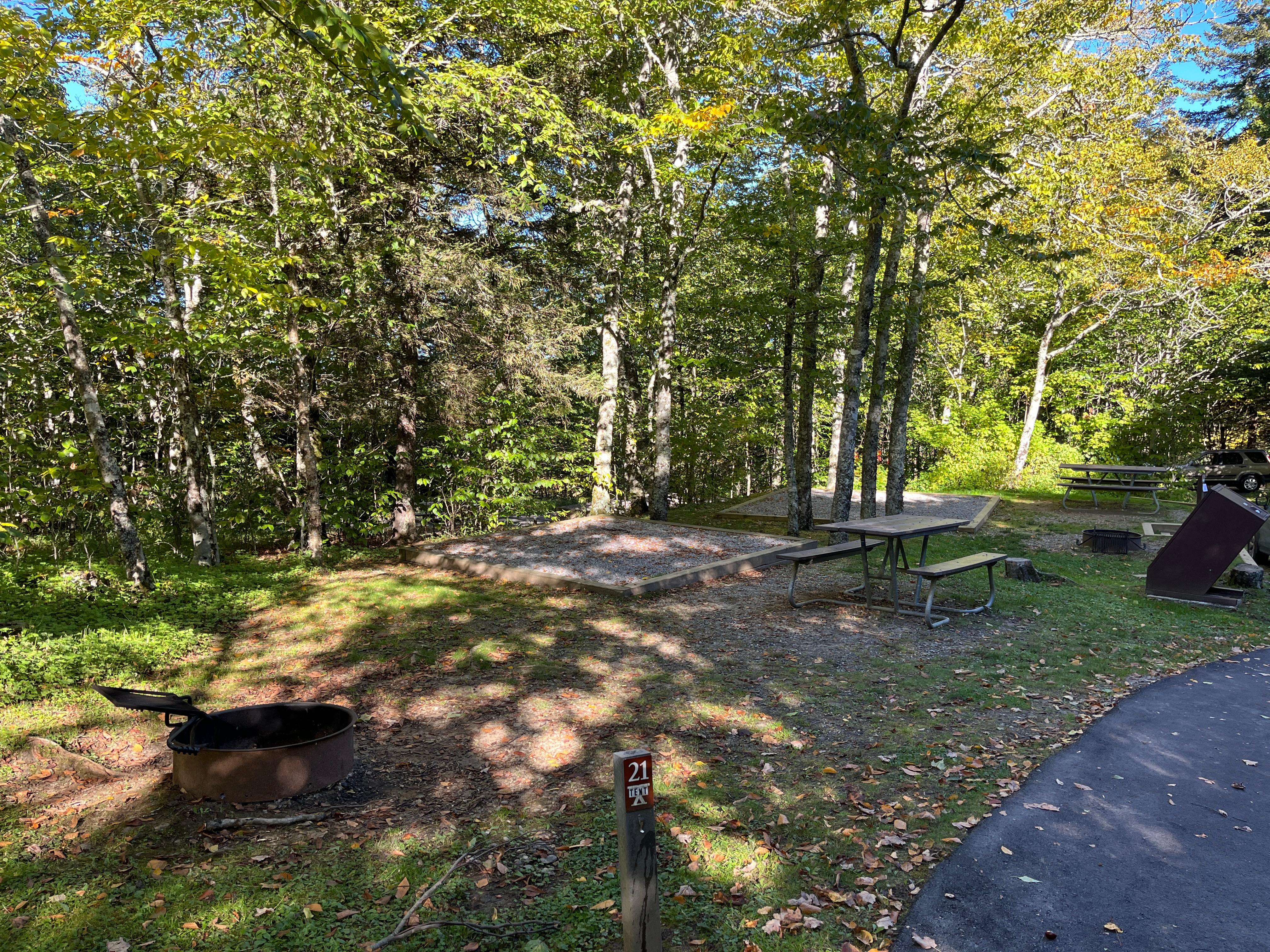 A fire ring, picnic table, and tent pad beside pavement. Additional site and trash can in background
