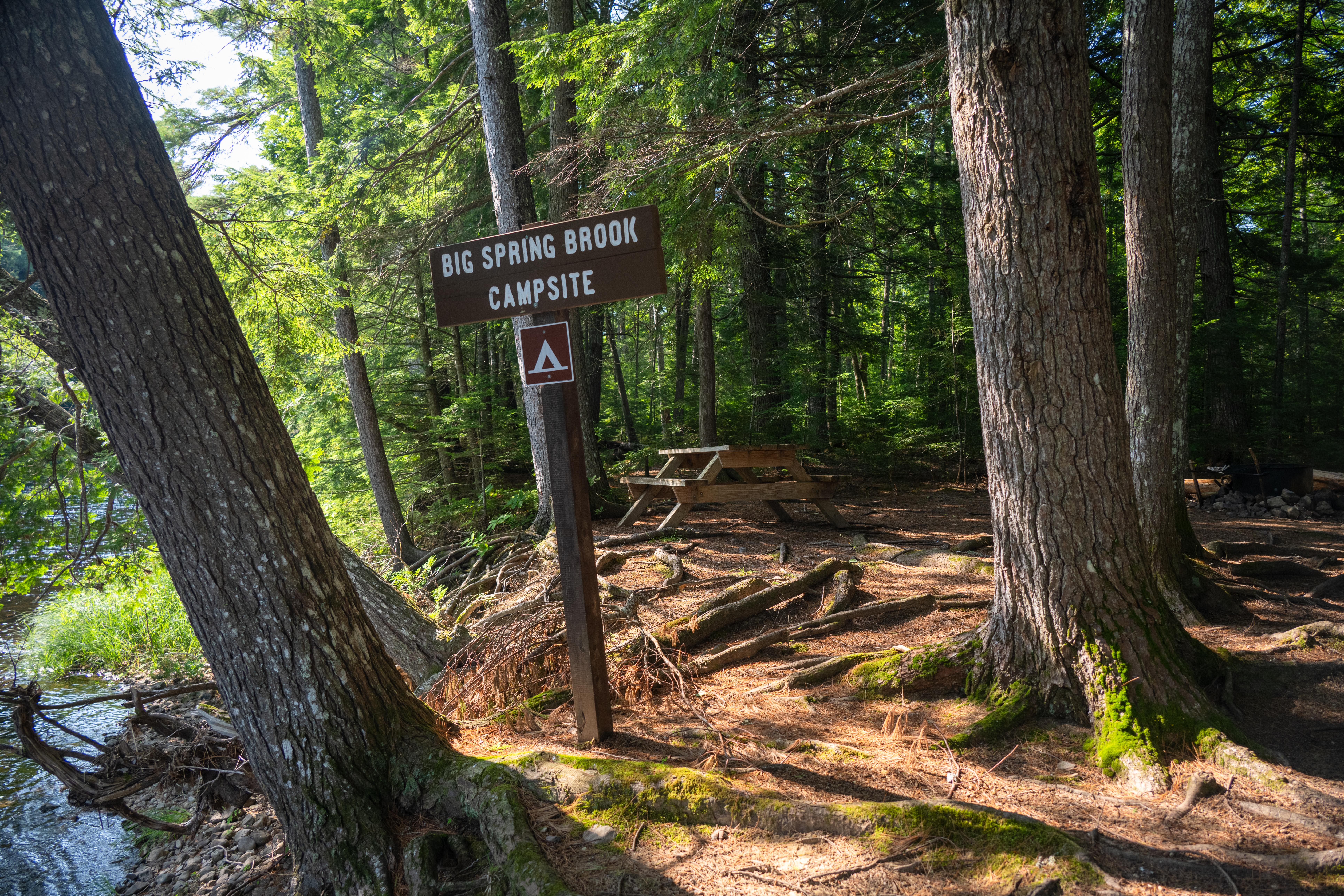A wooden sign marking a primitive campsite next to a flowing river. Exposed roots line the cut bank.