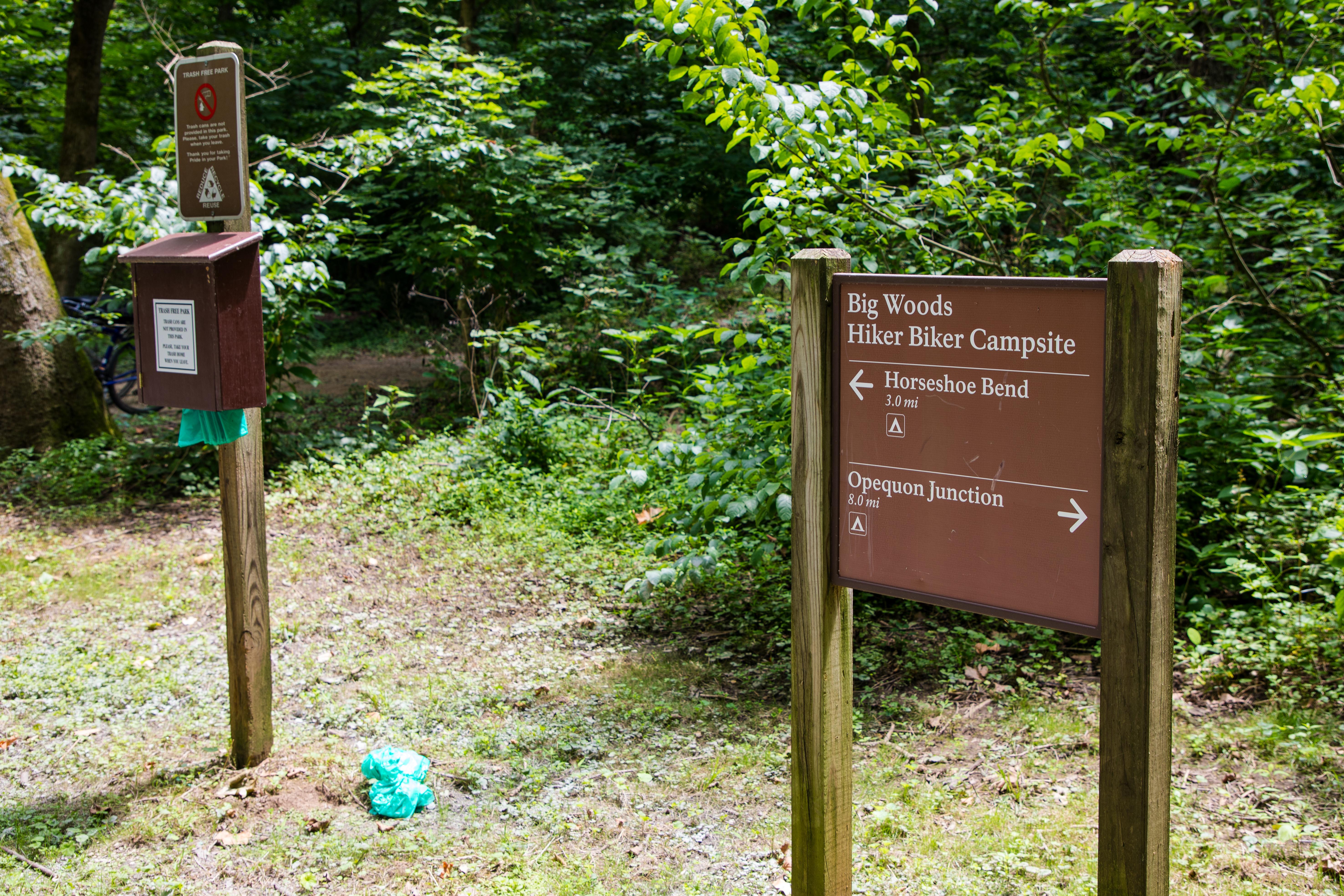 Campsite sign in the woods