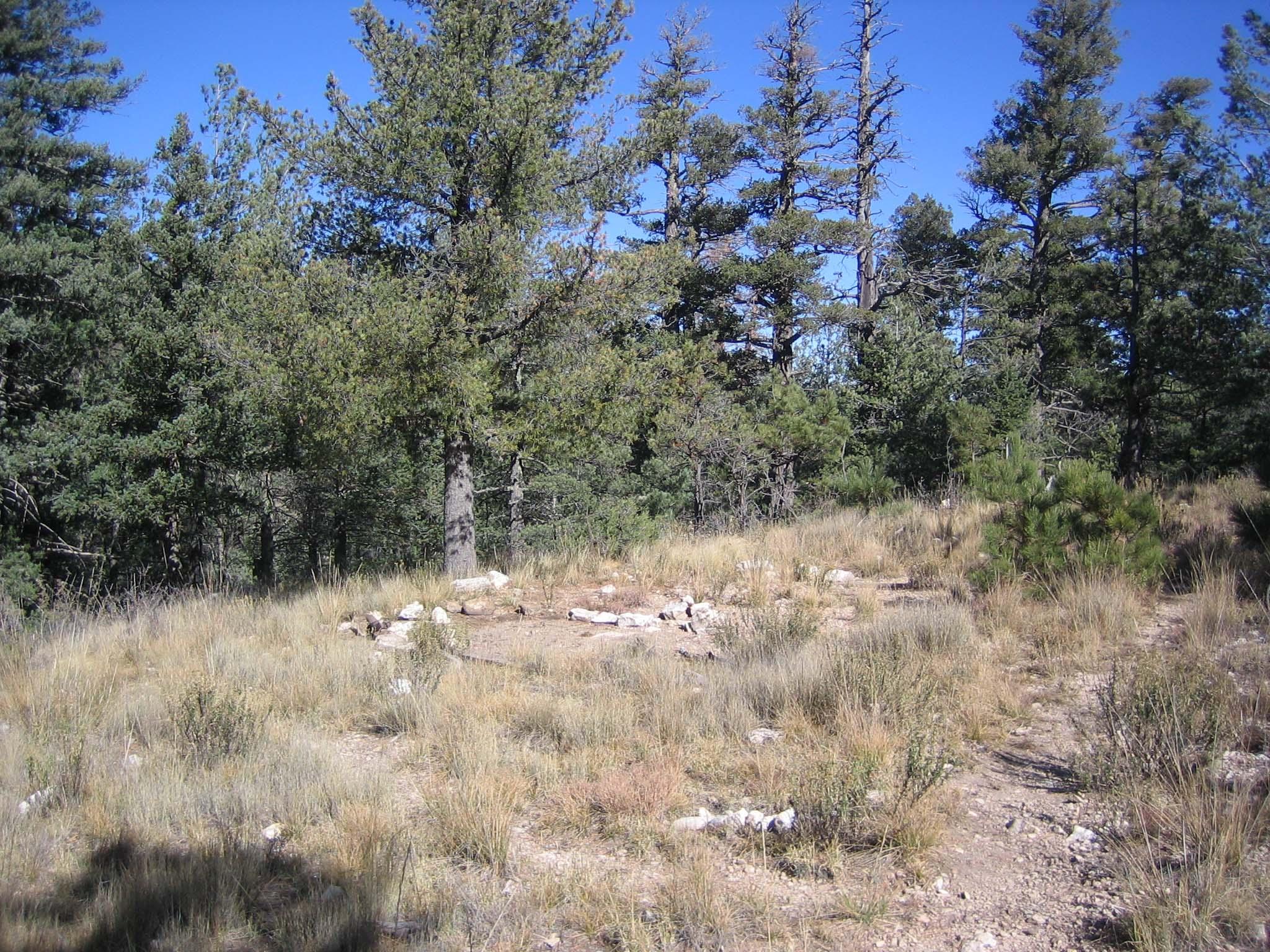 A hardened surface for tents in grass and forest