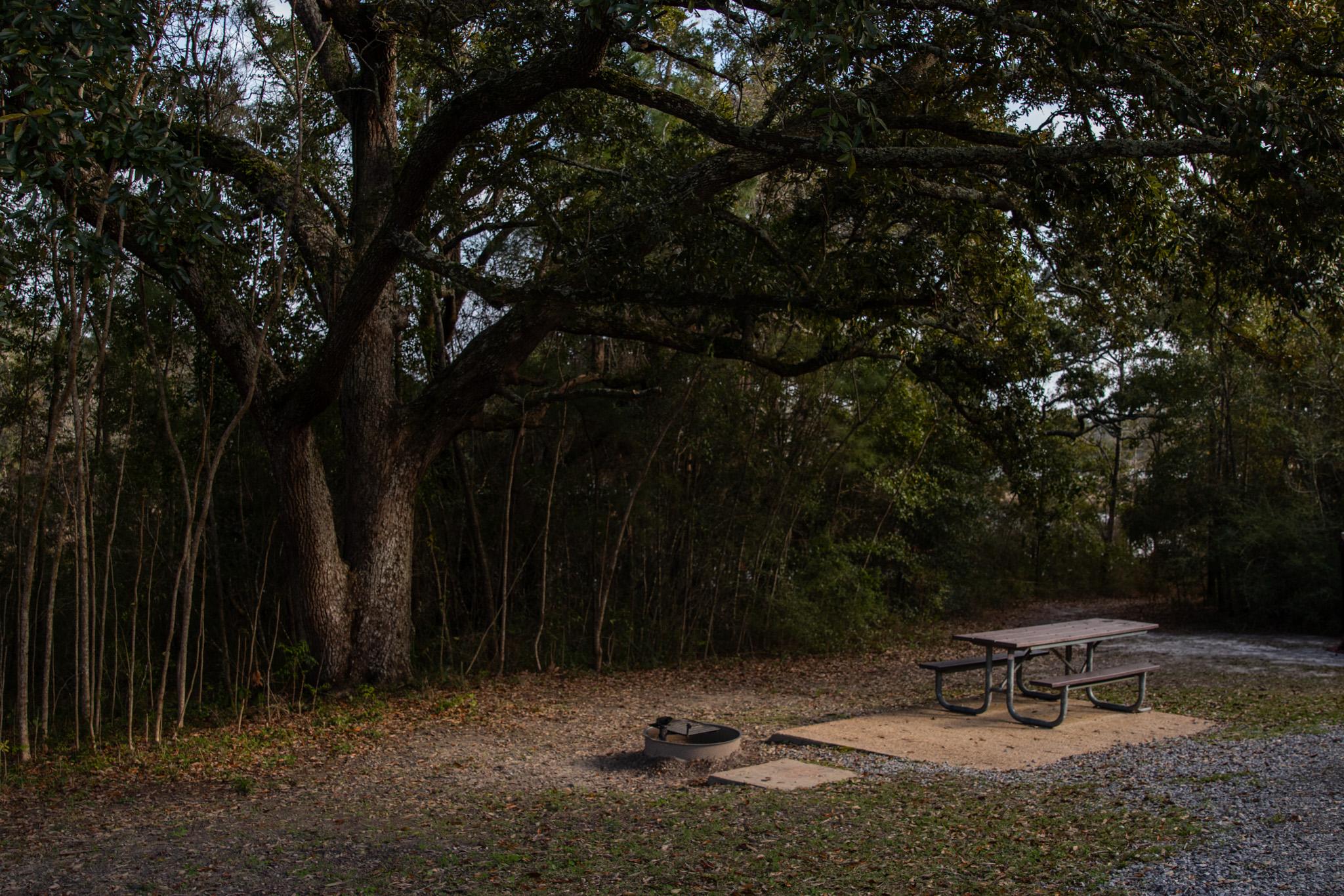 Fire ring and picnic table