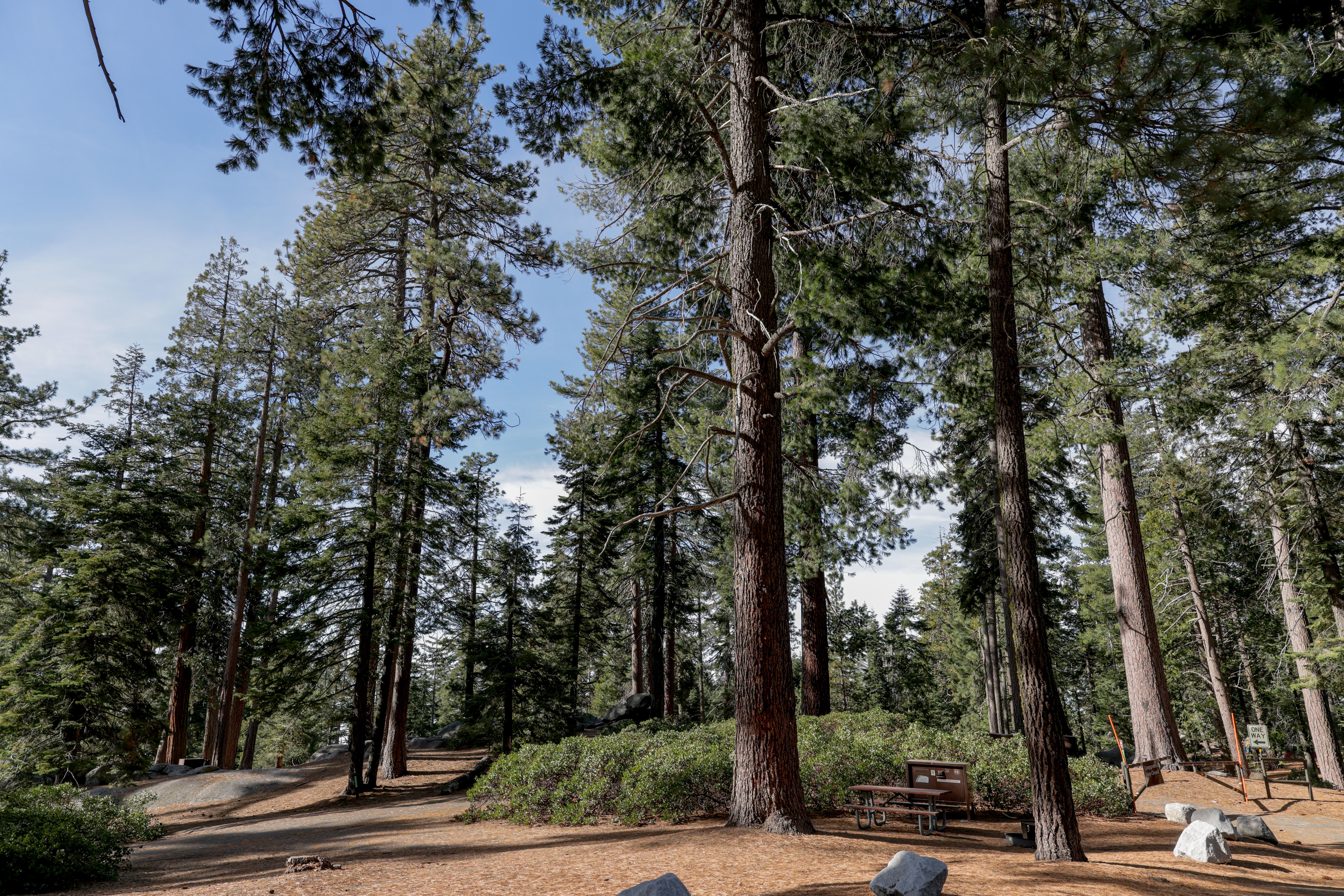 Campsites