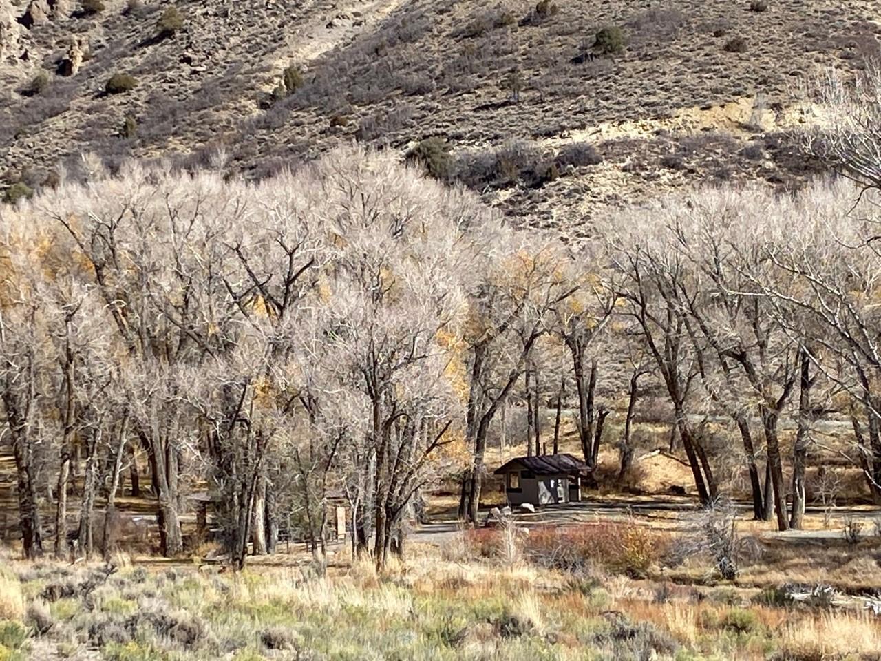 East Elk Creek Group Campground campground photo