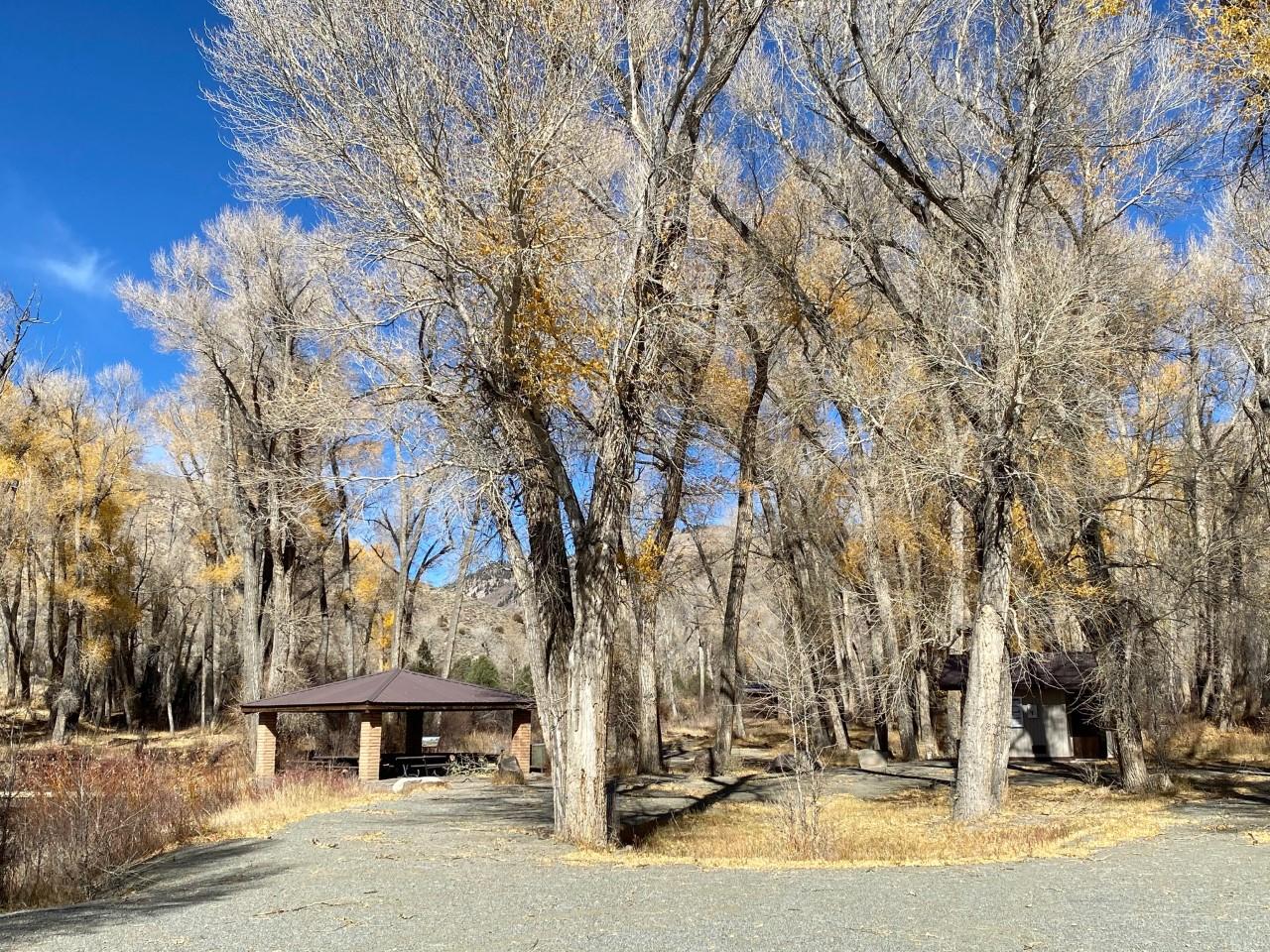East Elk Creek Group Campground campground photo