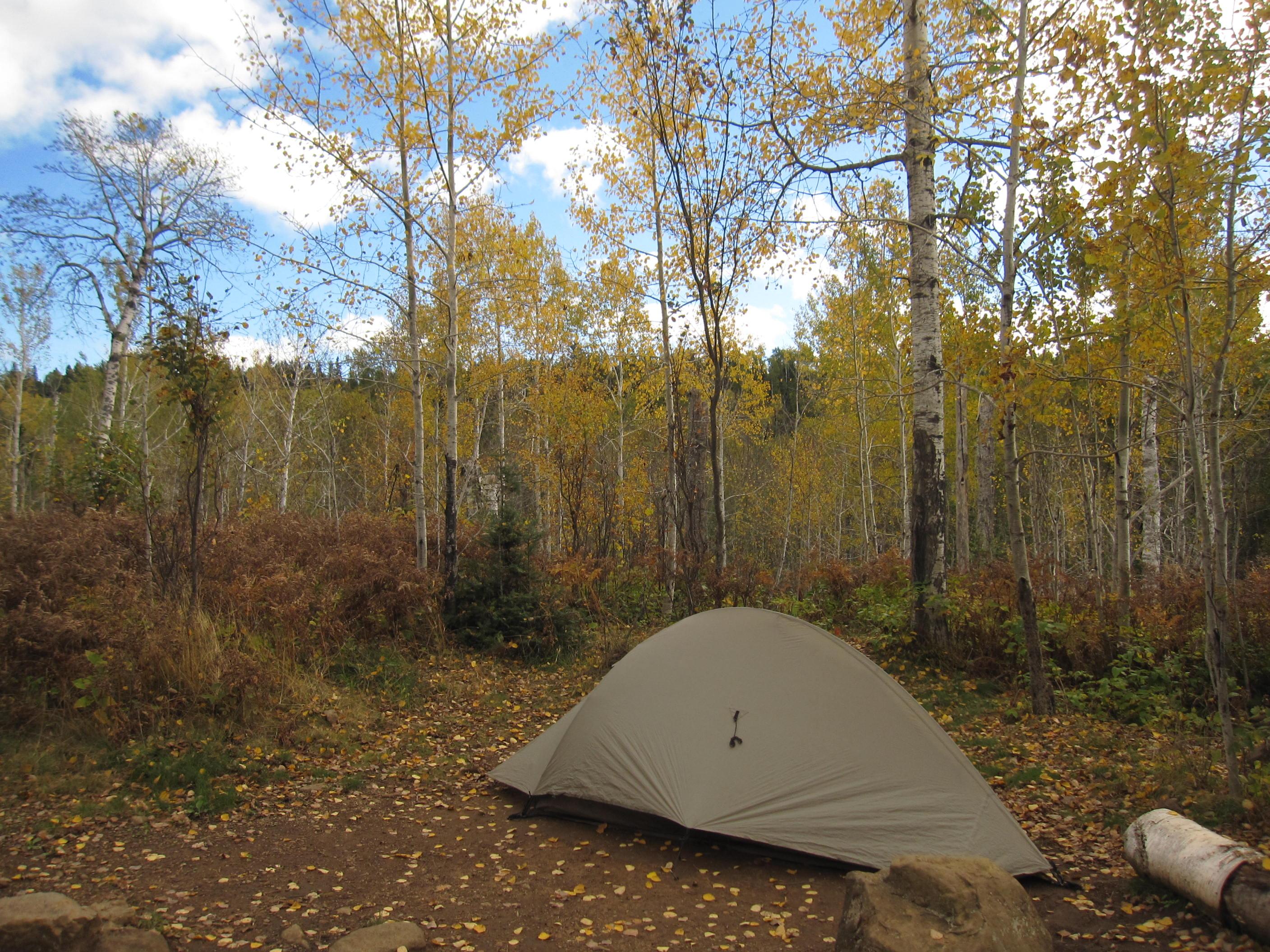 East Chickenbone Campground campground photo