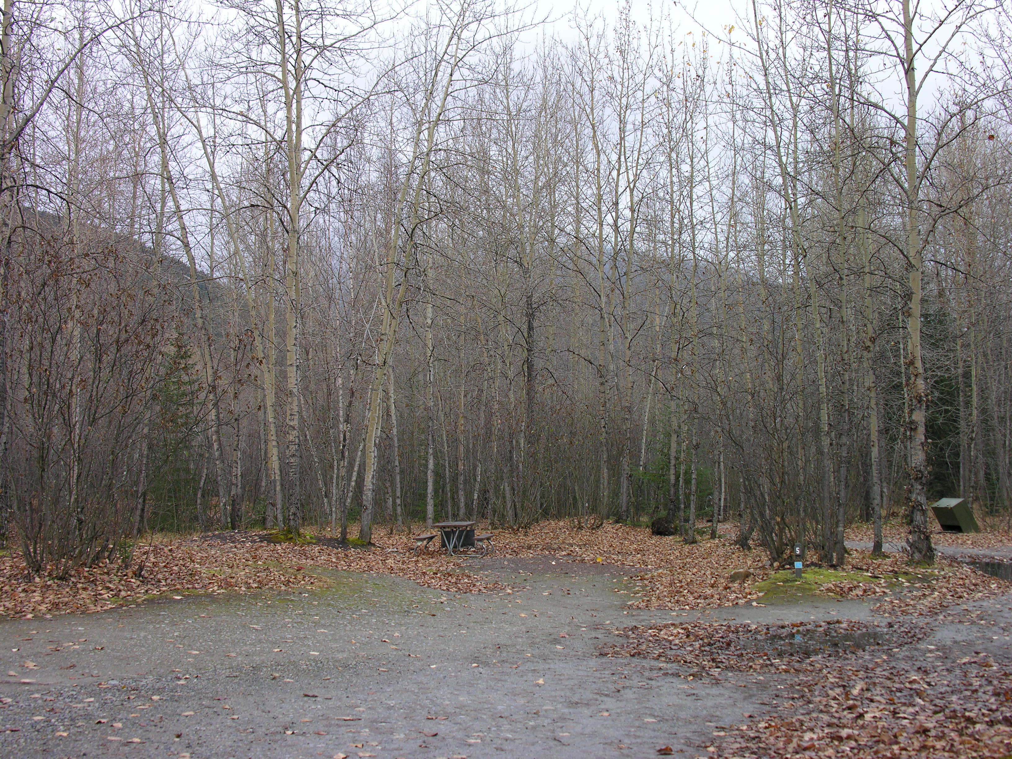 Dyea Campground campground photo