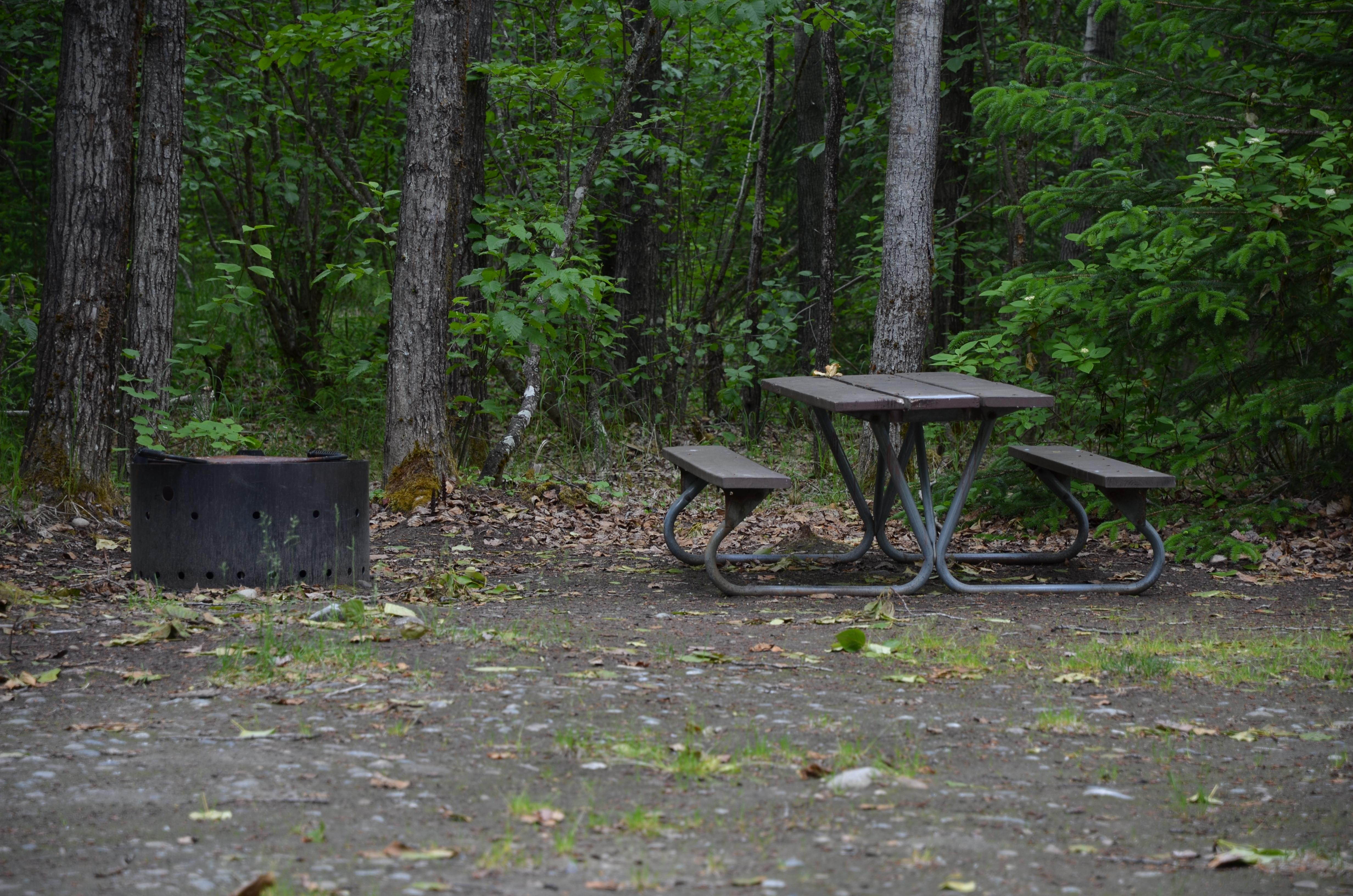Dyea Campground campground photo