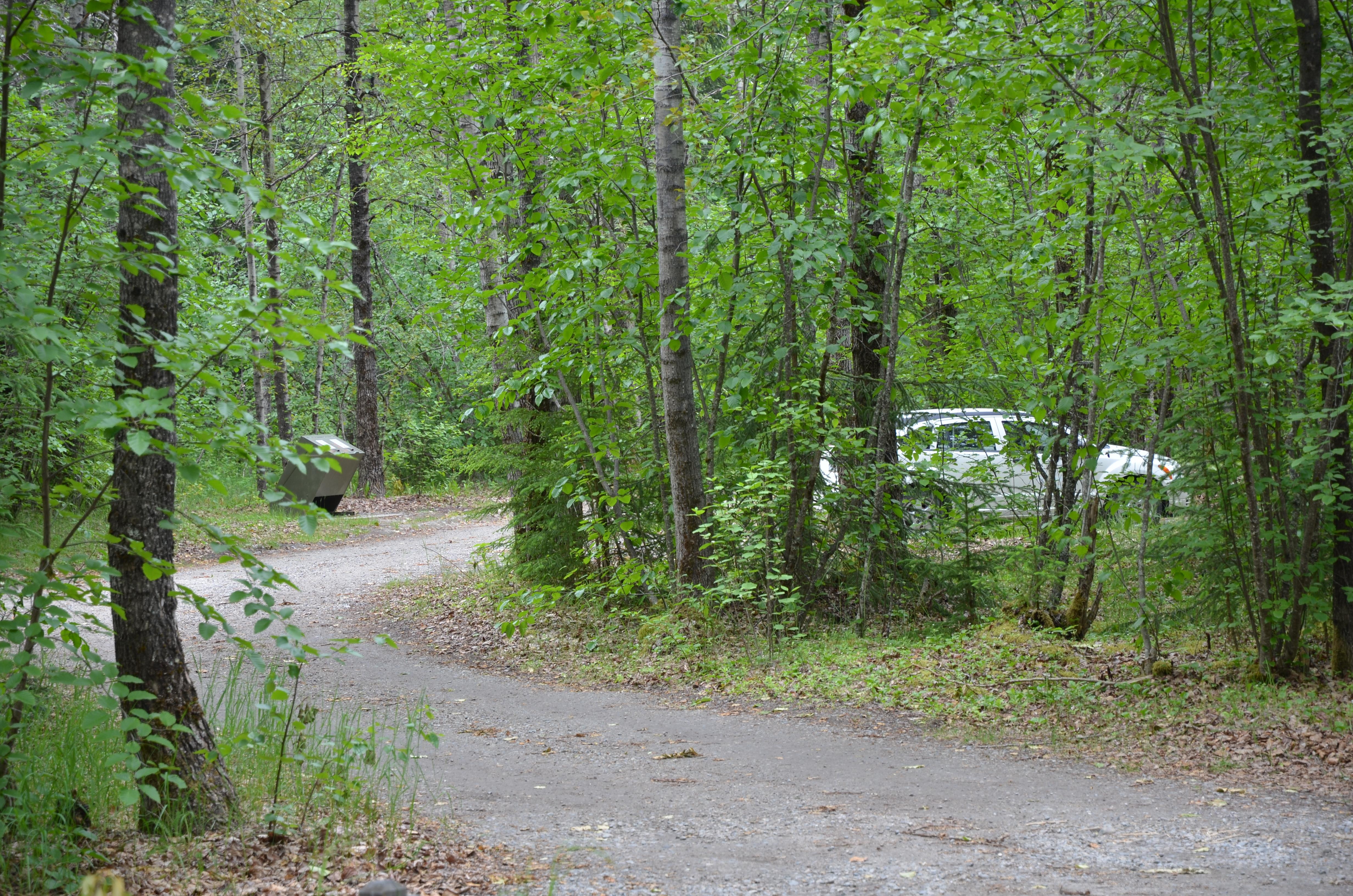 Dyea Campground campground photo